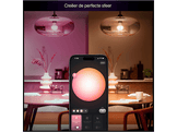 PHILIPS HUE Ampoule Essential Smart A60, lumière blanche et colorée