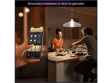 PHILIPS HUE Ampoule LED A67, lumière blanche chaude, culot E27