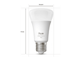 PHILIPS HUE Ampoule LED A67, lumière blanche chaude à froide, culot E27, lot de 2