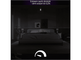 PHILIPS HUE Ampoule LED A67, lumière blanche et colorée, culot E27, lot de 2