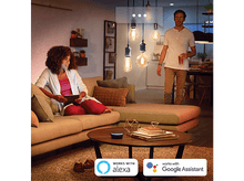 Charger l&#39;image dans la galerie, PHILIPS HUE  Ampoule LED Edison ST64 Lumière blanc chaude E27 (34298900) Ampoule LED Blanc chaud
