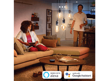 Charger l&#39;image dans la galerie, PHILIPS HUE Ampoule LED Edison ST64 Lumière blanc chaude E27 (34298900)
