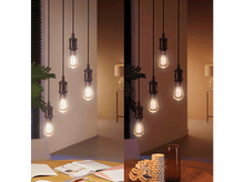 Charger l&#39;image dans la galerie, Ampoules suspendues avec deux réglages d&#39;éclairage différents : chaud et lumineux.

