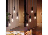 PHILIPS HUE Ampoule LED Edison ST64 Lumière blanc chaude E27 (34298900)