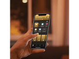 PHILIPS HUE Ampoule LED Edison ST64 Lumière blanc chaude E27 (34298900)