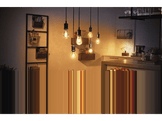 PHILIPS HUE Ampoule smart Blanc chaud E27 7 W (8719514342941)