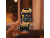 PHILIPS HUE Ampoule Smart White Ambiance E14 4 W - 2 pièces (35673300)