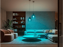 Charger l&#39;image dans la galerie, PHILIPS HUE Ampoule Smart White Ambiance E27 8 W - Kit de démarrage (29181200)
