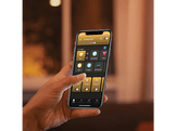 PHILIPS HUE Ampoule Smart White Ambiance E27 9 W - 4 pièces (32828000)