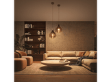 PHILIPS HUE Ampoule Smart White Ambiance Starter Kit E27 8 W (29123200)