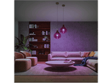 PHILIPS HUE Ampoule Smart White and Color Starter Kit E27 9 W (29135500)