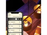PHILIPS HUE Ampoule Smart White Blanc chaud E14 5.5 W - 2 pièces (32062800)