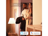PHILIPS HUE Ampoule Smart White Blanc chaud E14 5.5 W - 2 pièces (32062800)