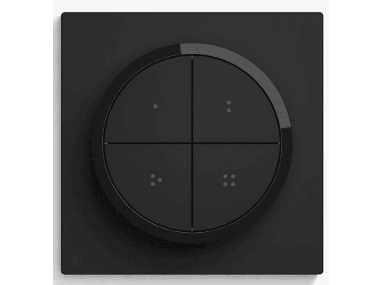 alt1