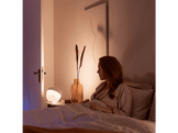 PHILIPS HUE Lampe de table Smart Iris RGB Blanc (26446500)