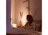 PHILIPS HUE Lampe de table Smart Iris RGB Noir (26448900)