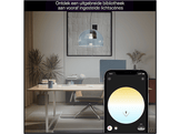 PHILIPS HUE LED A60 Lumière blanche chaude à froide, culot E27
