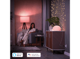 PHILIPS HUE Prise électrique intelligente (34234700)