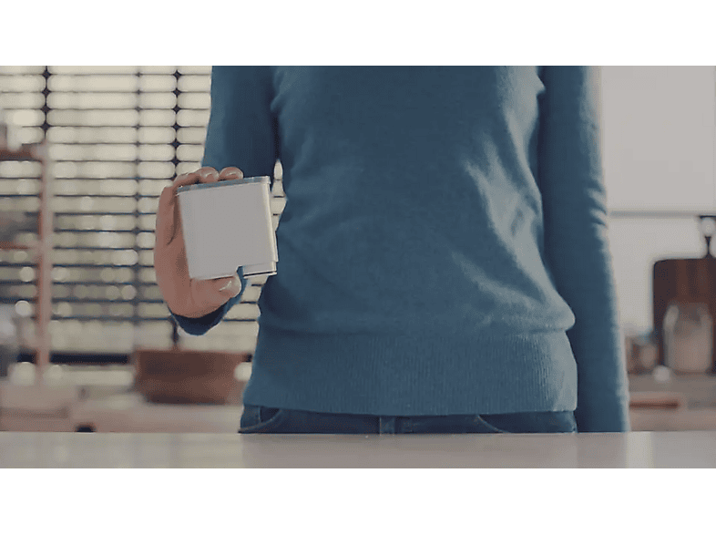 alt1