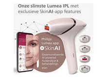 Charger l'image dans la galerie, alt1
