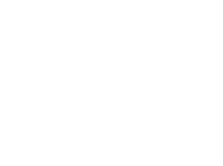 alt1