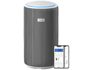 alt1