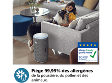 Charger l&#39;image dans la galerie, Purificateur d&#39;air à côté d&#39;un chien et d&#39;une fille sur un canapé, avec texte sur les allergènes.
