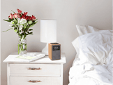PHILIPS Radio-réveil DAB+ (TAR5005/10)