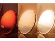 Charger l&#39;image dans la galerie, alt1
