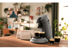 Charger l'image dans la galerie, alt1
