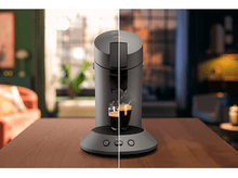 Charger l'image dans la galerie, alt1
