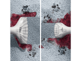 PHILIPS Spot cleaner - Nettoyeur vapeur (XW3193/11)