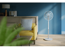 Charger l'image dans la galerie, alt1
