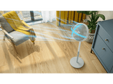 PHILIPS Ventilateur (CX2550/00)