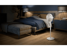 Charger l'image dans la galerie, alt1
