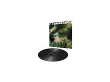 Charger l'image dans la galerie, alt1
