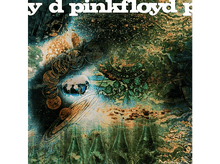 Charger l'image dans la galerie, alt1
