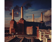 Pochette d'album de Pink Floyd avec la Battersea Power Station et un cochon.