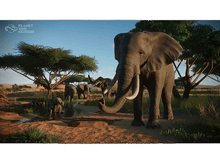 Charger l&#39;image dans la galerie, Éléphants dans une savane. Certains près de l&#39;eau et des arbres. Ciel bleu et ensoleillé.
