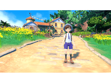 Charger l'image dans la galerie, Un garçon en uniforme scolaire se tient sur un chemin de pierre devant une maison et des fleurs jaunes.
