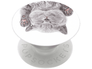 Un popsocket avec une image de chat gris. Le chat est allongé sur le dos, les pattes en l'air, les yeux fermés. Le fond est blanc.