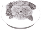 POPSOCKETS PopGrip interchangeable Cat Nap (800947)