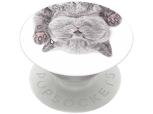 Charger l&#39;image dans la galerie, POPSOCKETS PopGrip interchangeable Cat Nap (800947)
