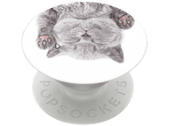 POPSOCKETS PopGrip interchangeable Cat Nap (800947)