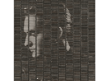 alt1