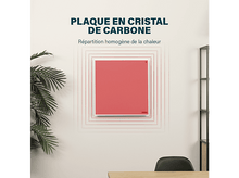 Charger l&#39;image dans la galerie, Un carré rouge sur un mur, avec le texte &#39;PLAQUE EN CRISTAL DE CARBONE&#39;. Il y a une plante dans le coin.
