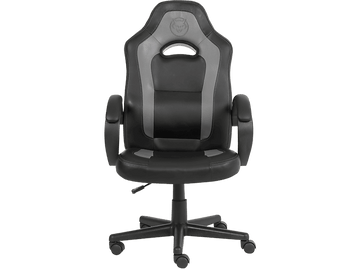 alt1