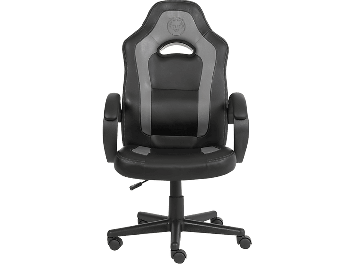 alt1