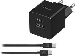 QWARE Chargeur USB-C pour Switch PD 20 W Noir (QW NSW-2020)