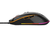 QWARE Souris gamer Tampa RGB Noir (GMM-4200)